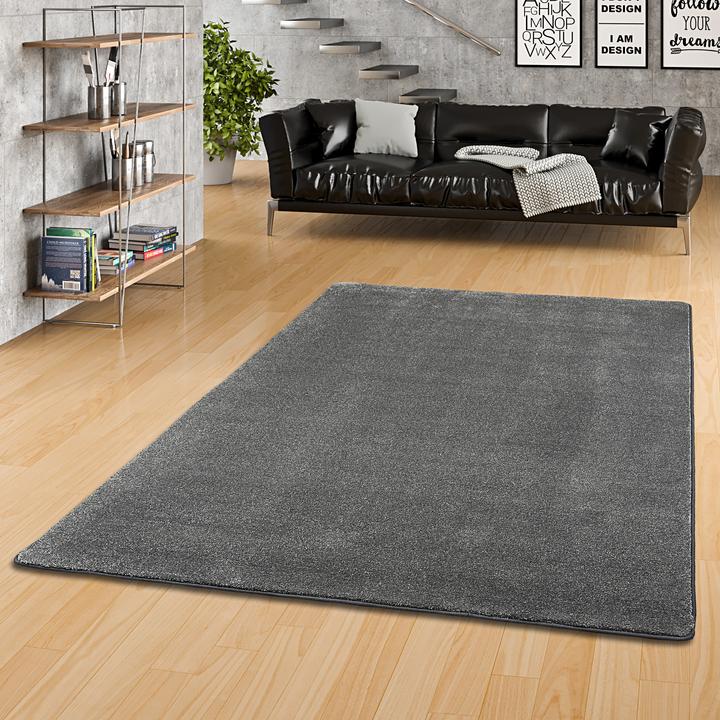 Produktbild Snapstyle Hochflor Luxus Velours Teppich Touch (100 x 300 cm)