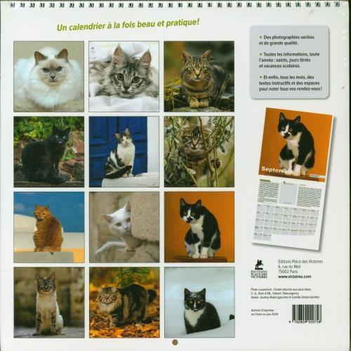 Image du produit Chats : calendrier 2025 (Couverture rigide, Français)
