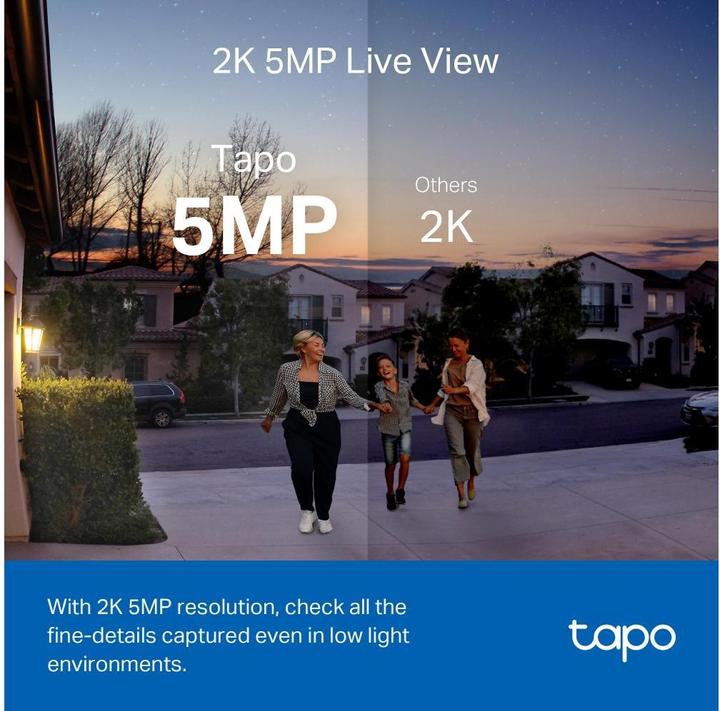 Actual product image TP-Link Tapo D230S1 (Ethernet, Wi-Fi)