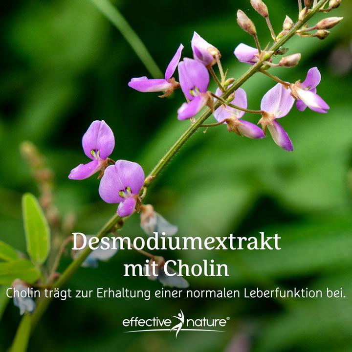 Actual product image Effective Nature Desmodium-Extrakt (90 Piece, Capsules, 90 g)