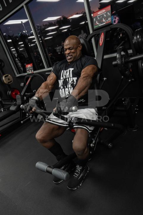 Actual product image Schiek Ronnie Coleman (XXL)