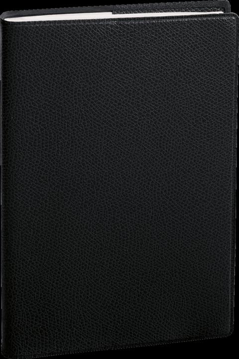 Quo Vadis Universitario (10 x 15 cm, Francese)