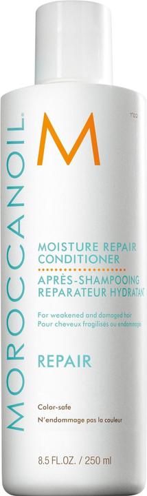 Moroccanoil Repair