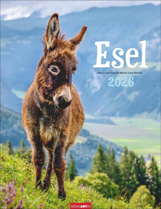 Produktbild Esel Kalender 2026 (30 x 39 cm, Deutsch)