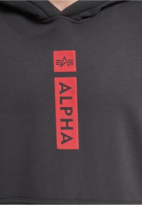 Immagine prodotto Alpha Industries Logo BP Hoodies - 145441 (M)