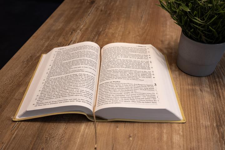 Produktbild Neues Leben. Die Bibel, grosse Schrift, Kunstleder (Deutsch, SCM R.Brockhaus, 2024)