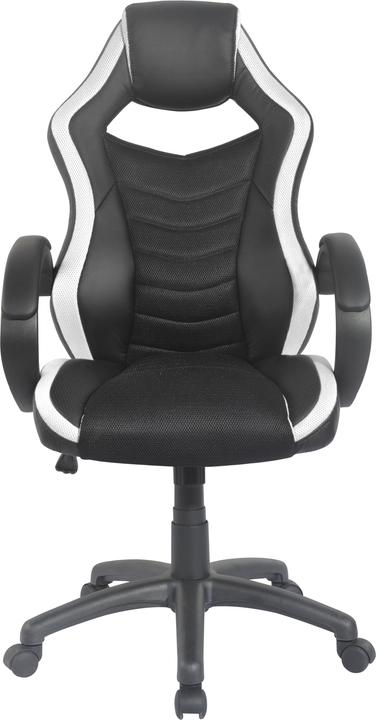 Produktbild Homexperts Hornet