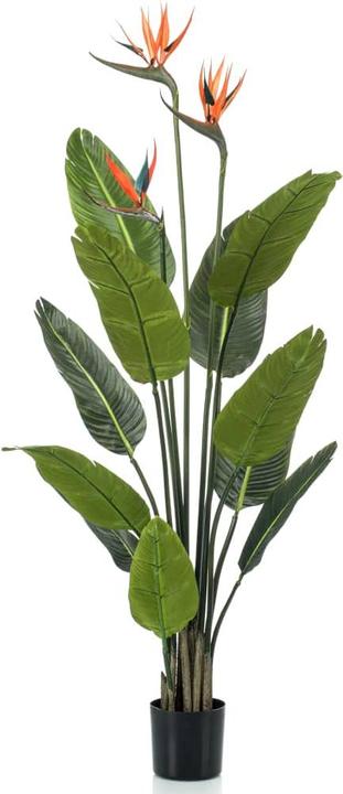 Emerald Christable (128 cm)