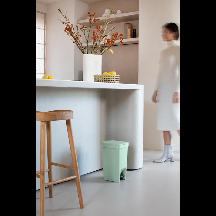 Actual product image Brabantia StepUp Bin (10 l)