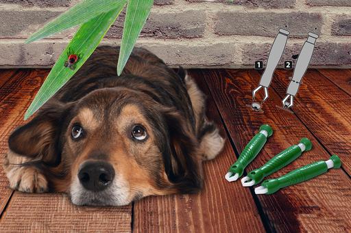 Image du produit Karlie Pince à tiques (Chien)