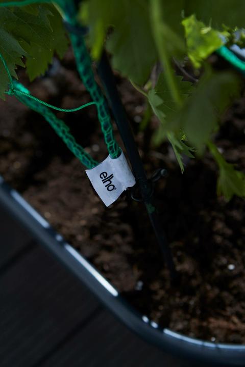 Actual product image Elho Green Basics (78 cm)