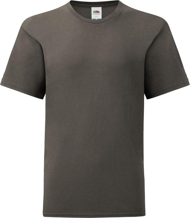 Fruit of the Loom Iconic 150 TShirt (140, 146)