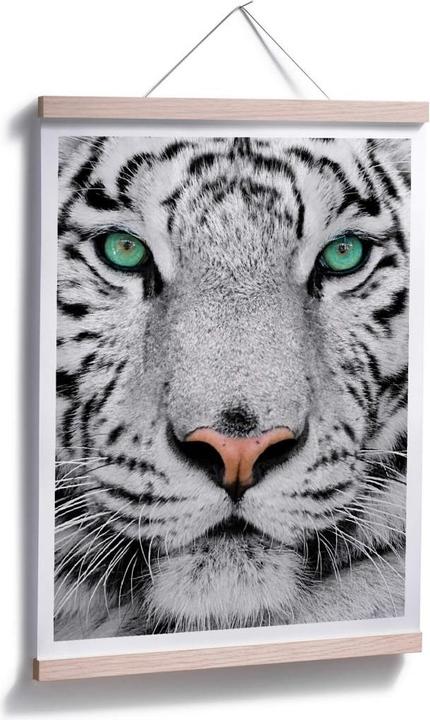 Actual product image Trenddeko Gorgeous Sumatran Tiger (30 x 40 cm)