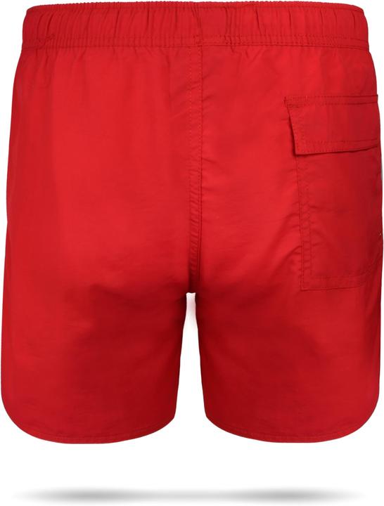 Actual product image Normani Coastline swim shorts (L)