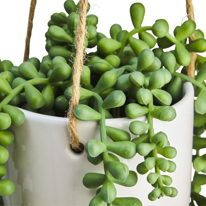 Image du produit micasa Senecio (48 cm)
