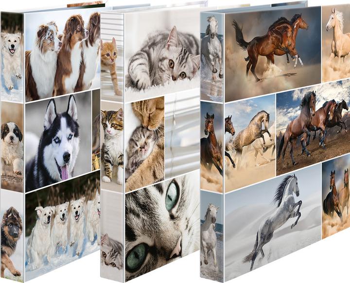 Actual product image HERMA A4 ring binder motif (A4, 35 mm, 1 Piece)