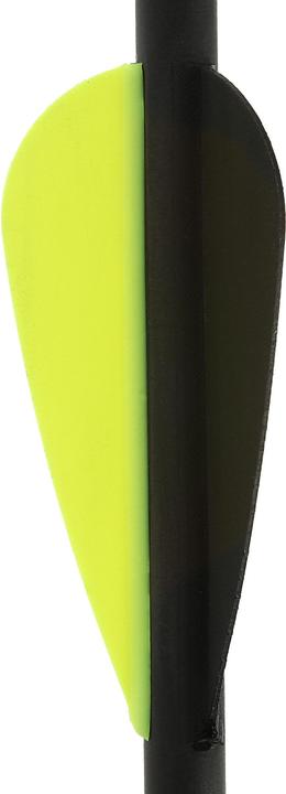 Actual product image Geologic Club 900 ×3 Carbon