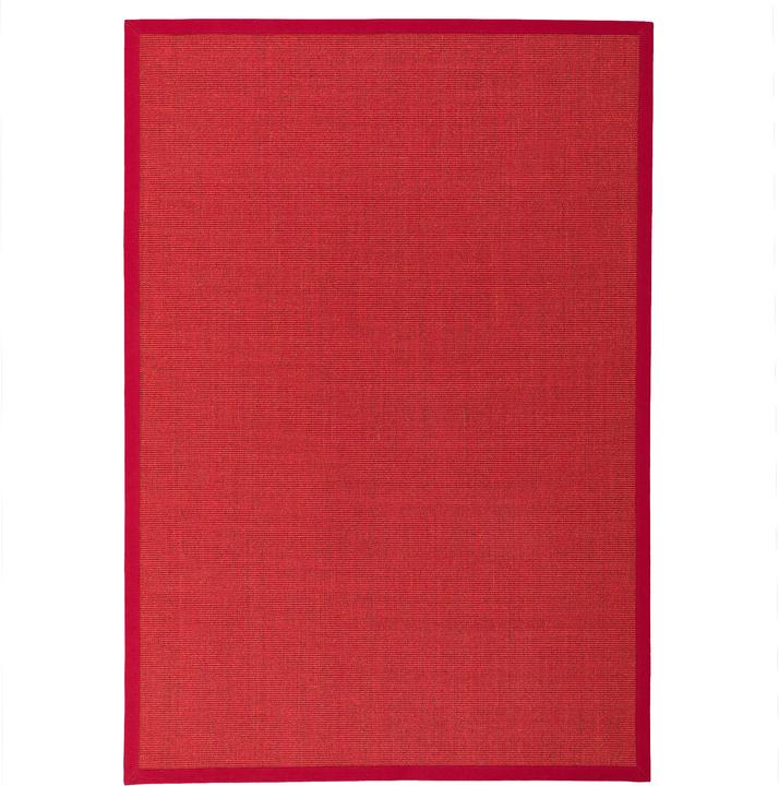 Actual product image Pergamon Sisal carpet Natura Classic with border (120 x 170 cm)