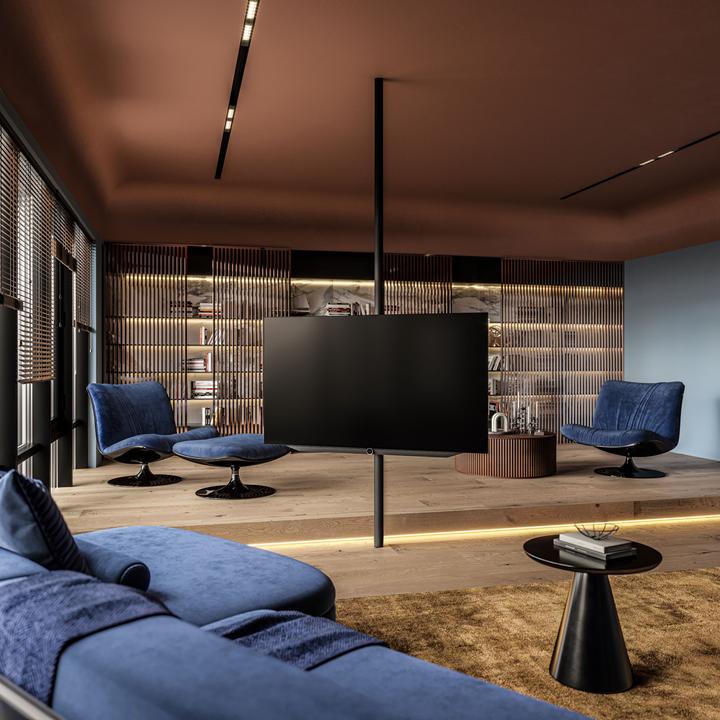 Actual product image Loewe Image v.65 dr+ (65", OLED, 4K, 2023)