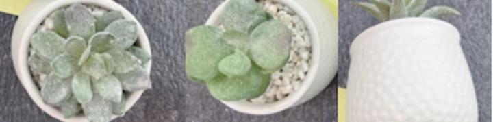 Image du produit Arti Casa Plante artificielle en pot 3as