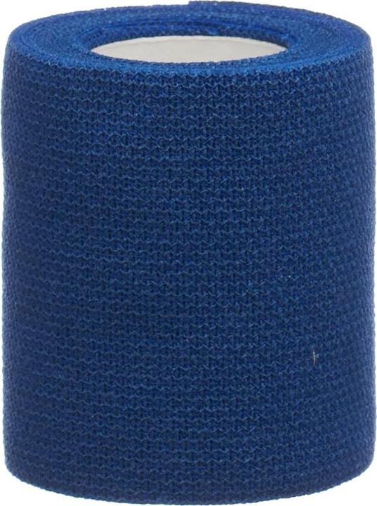 Actual product image DermaPlast SportFix 6cmx4m blau