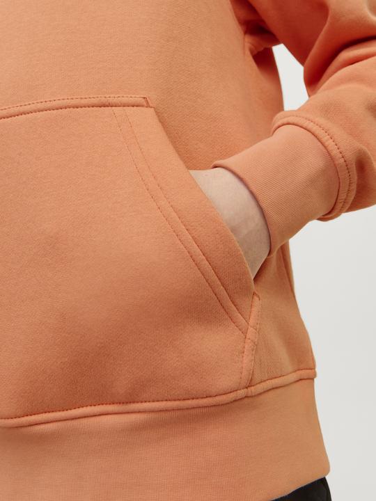 Actual product image Jack & Jones Hoodie (152)