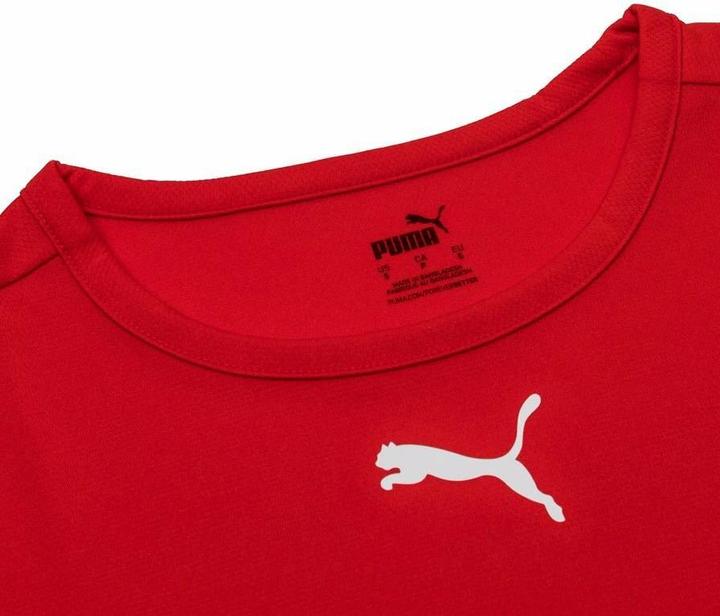 Image du produit Puma teamRISE Jersey-704932 (L)