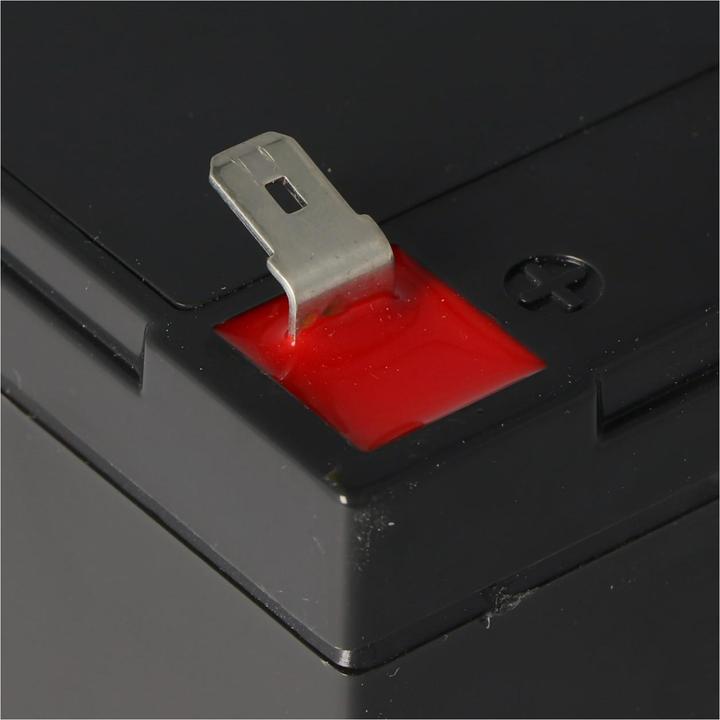 Actual product image Fiamm Akku 12FGH36