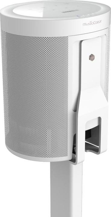 Produktbild Cavus CMY20W (Wandmontage, Nicht beweglich)