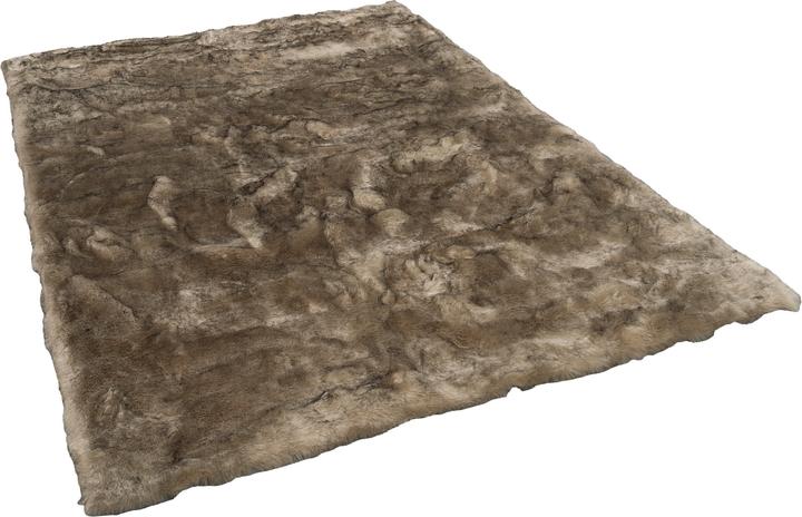Beige marrone