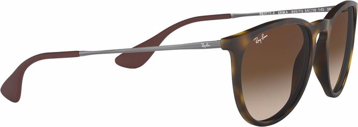 Actual product image Ray Ban Erika