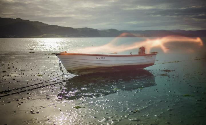 Actual product image Lensbaby OMNI Creative Filter Color Expansion (Effect filter)