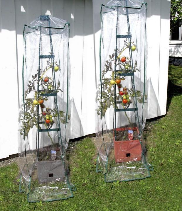 Produktbild Bio Green Tomaten-Pflanzturm Maxitom (25 cm, 25 cm)