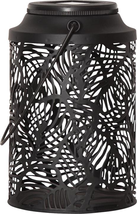 Star Trading Feuilleté (Ø 11.5 x 17 cm, 1 x)