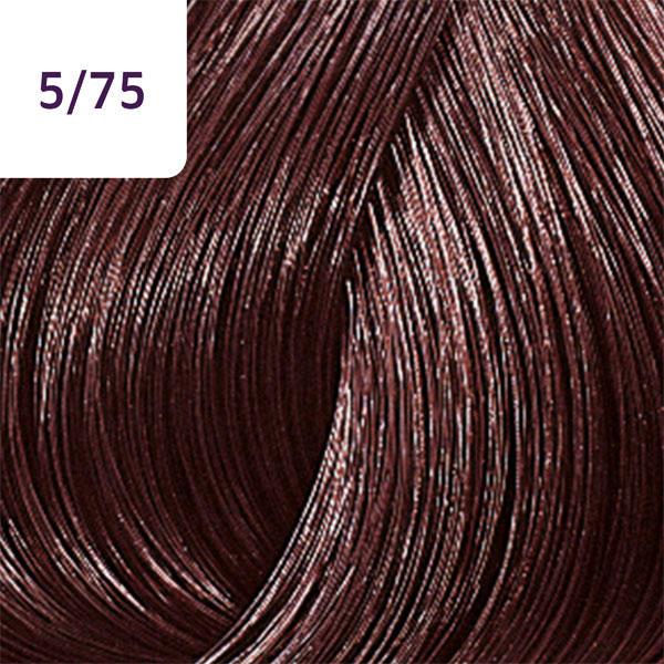 Produktbild Wella Color Touch Deep Browns (5/75 hellbraun braun-mahagoni)