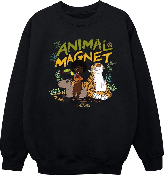 Disney Encanto Animal Magnet Sweatshirt Mädchen