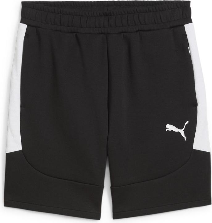 Puma teamEVOSTRIPE Shorts