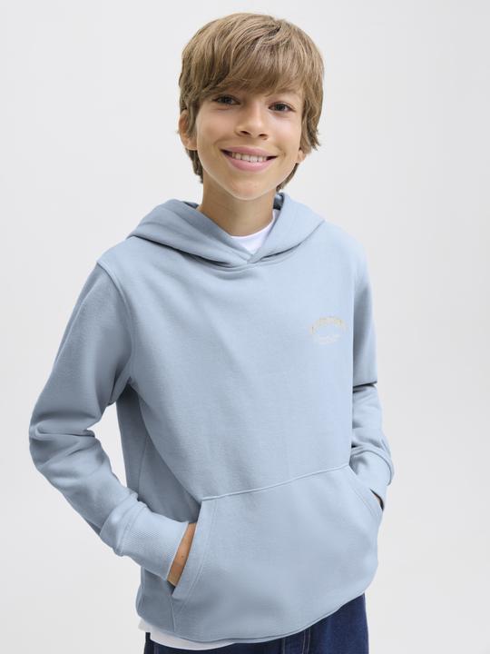 Actual product image Jack & Jones Jjebrandes Backp Relaxed Sweat H Sn Jnr (128)