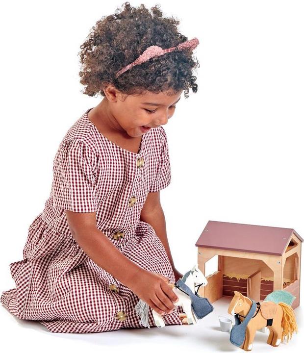 Image du produit Tender Leaf Toys Ensemble stable