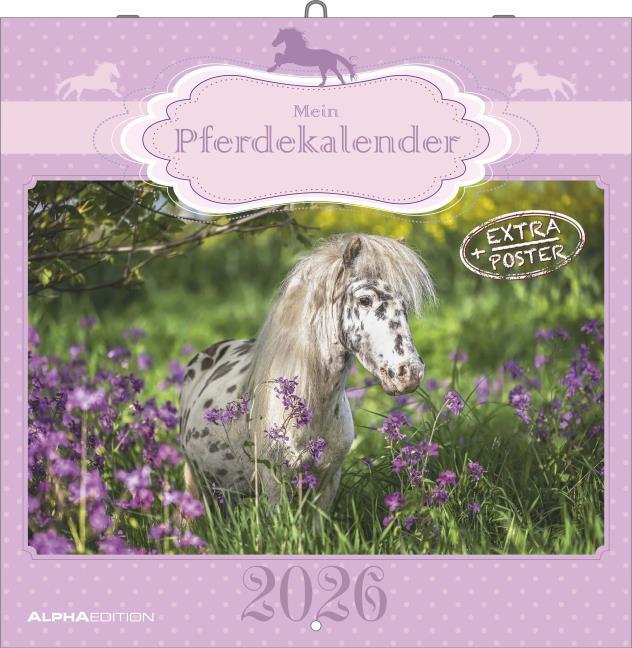 Produktbild Alpha Edition Mein Pferdekalender 2026 - Broschrenkalender 30x30 cm (30x60 geffnet) - Kalender mit Platz fr N (30 x 30 cm, Harter Einband, Deutsch)