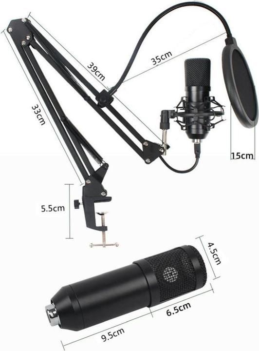 Image du produit Art Condenser Microphone On A Boom
