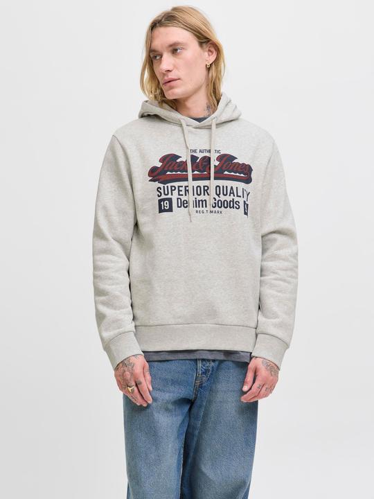 Actual product image Jack & Jones JJELOGO SWEAT HOOD 2 COL 25/26 NOOS (M)