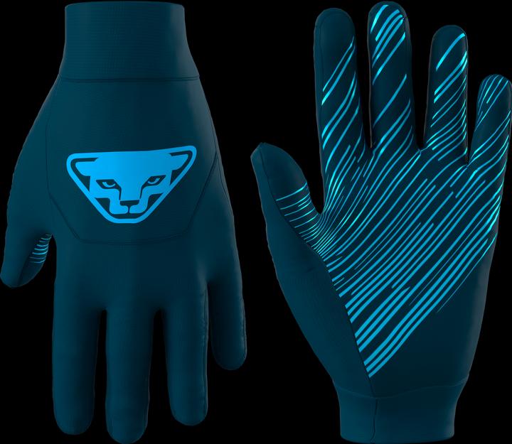 Produktbild Dynafit Upcycled Speed Gloves (XS)