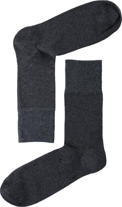 Lenz Longlife socks men