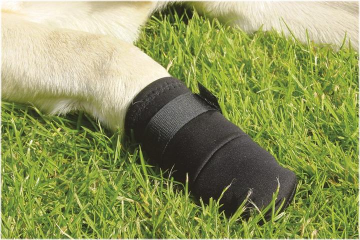 Actual product image Beeztees Bz Paw Protection Black XXL 2 (Dog)