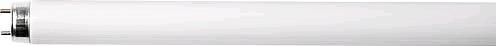 Produktbild Osram Lumilux-Lampe (G13, 16 W, 1250 lm, 25 x, G)