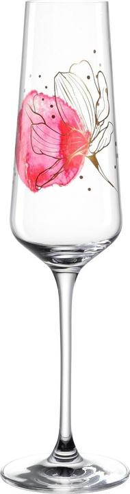 Leonardo Champagne glass Presente 220 ml, 1 piece, Transparent (22 cl, 1 Glasses, Champagne glasses)