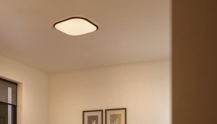 Produktbild Philips Canaval (1500 lm)