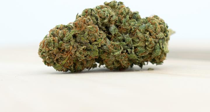 Produktbild Herba di Berna Amnesia Gold (1.80 g, Indoor)