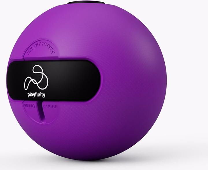Actual product image Playfinity squeezey ball